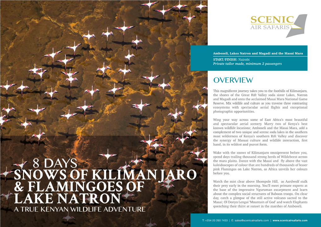 Snows of Kilimanjaro & Flamingoes of Lake Natron