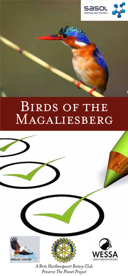 Birds of the Magaliesberg