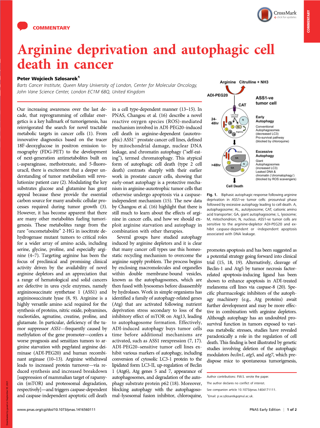 Arginine Deprivation and Autophagic Cell Death in Cancer