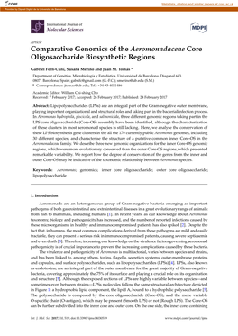 Comparative Genomics of the Aeromonadaceae Core Oligosaccharide Biosynthetic Regions