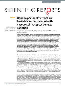 Bonobo Personality Traits Are Heritable and Associated with Vasopressin
