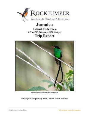 Jamaica Island Endemics 15Th to 20Th February 2019 (6 Days) Trip Report