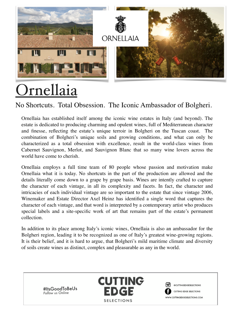 Ornellaia No Shortcuts