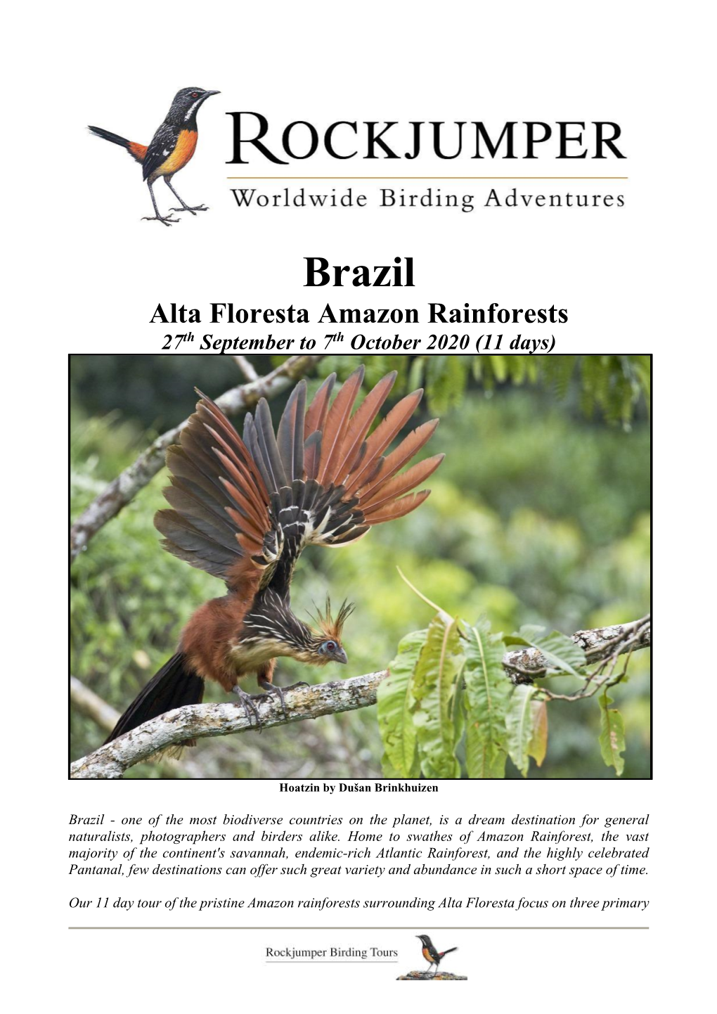 Brazil Alta Floresta Amazon Rainforests 27Th September to 7Th October 2020 (11 Days)