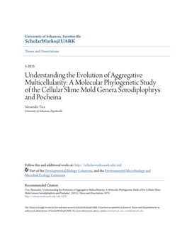 A Molecular Phylogenetic Study of the Cellular Slime Mold Genera Sorodiplophrys and Pocheina Alexander Tice University of Arkansas, Fayetteville