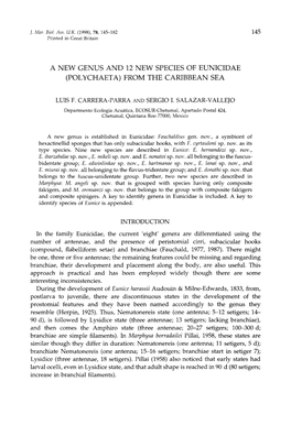 A New Genus and 12 New Species of Eunicidae (Polychaeta) from the Caribbean Sea