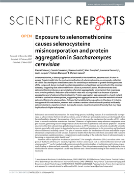 Exposure to Selenomethionine Causes Selenocysteine Misincorporation and Protein Aggregation in Saccharomyces Cerevisiae