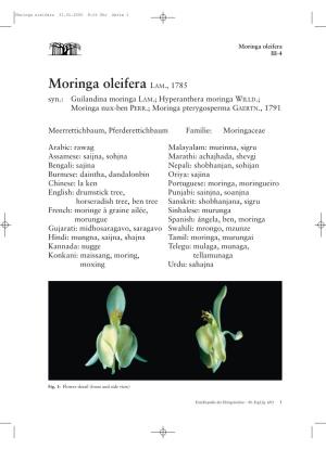 Moringa Oleifera 31.05.2005 8:55 Uhr Seite 1