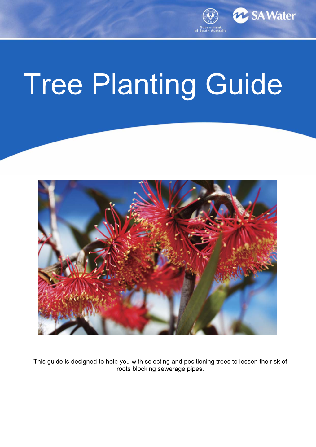 Tree Planting Guide