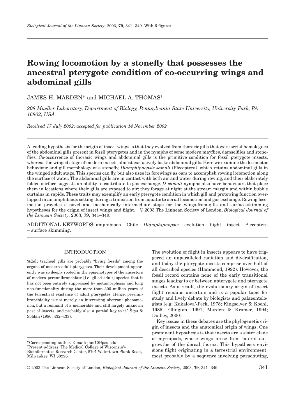 Rowing Locomotion by a Stonefly That Possesses the Ancestral Pterygote