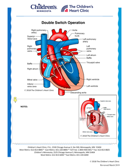 Double Switch Procedure