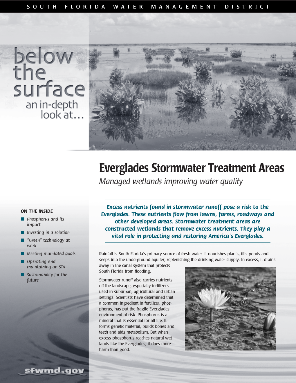 Below the Surface: Everglades Stormwater Treatment Areas