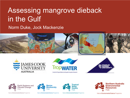 Assessing Mangrove Dieback in the Gulf Norm Duke, Jock Mackenzie