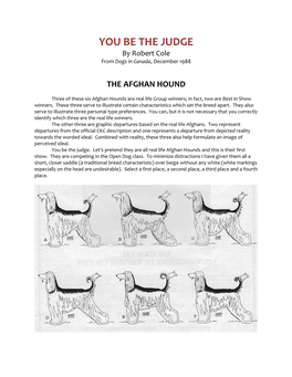 The Afghan Hound