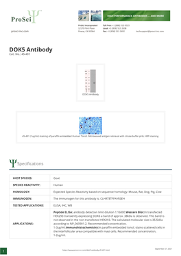 DOK5 Antibody Cat