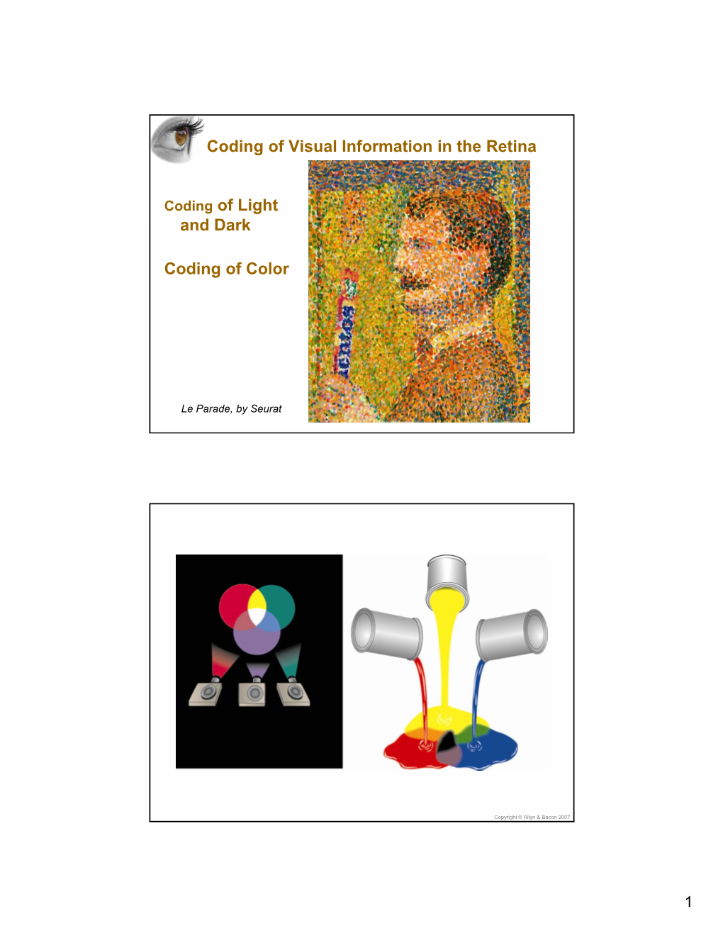 Coding of Visual Information in the Retina Coding of Light D D K and Dark Coding of Color