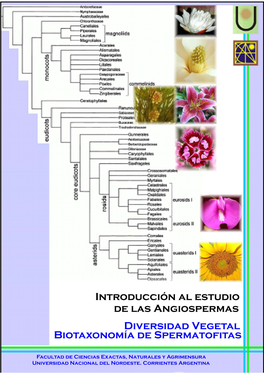 3-Introduccion a Las Angiospermas.Pdf