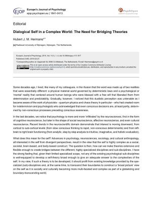 Dialogical Self in a Complex World: the Need for Bridging Theories