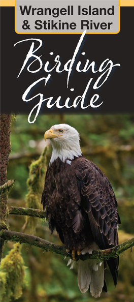 Wrangell Island & Stikine River Birding Guide