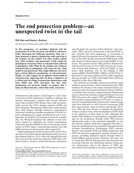 The End Protection Problem—An Unexpected Twist in the Tail