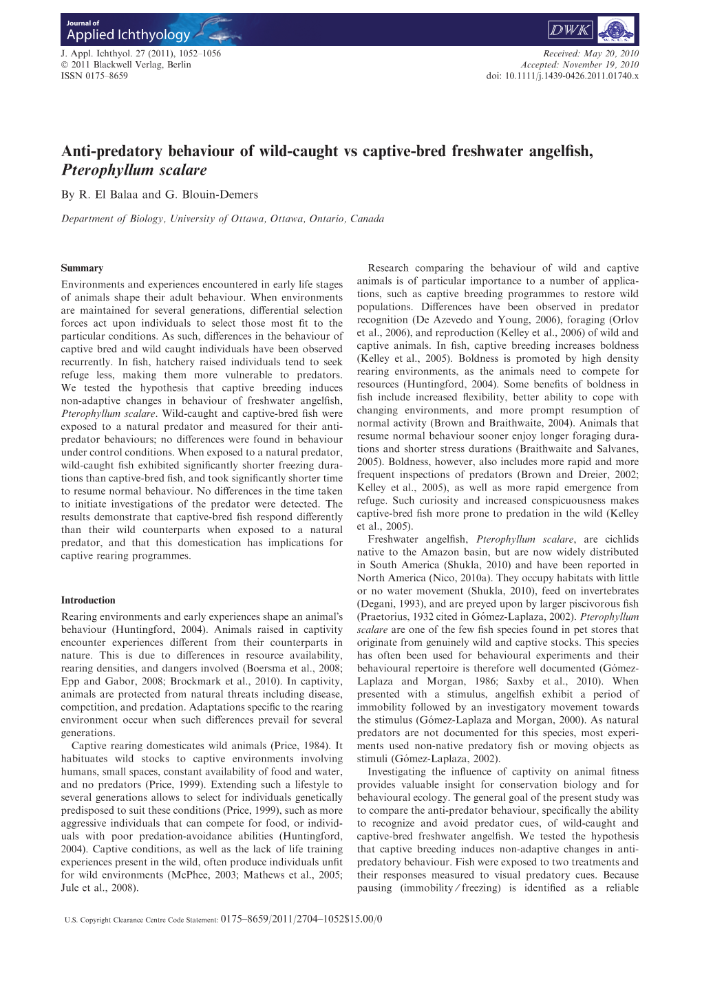 Antipredatory Behaviour of Wildcaught Vs Captivebred Freshwater Angelfish