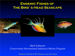 Endemic Fishes of the Bird's Head Seascape