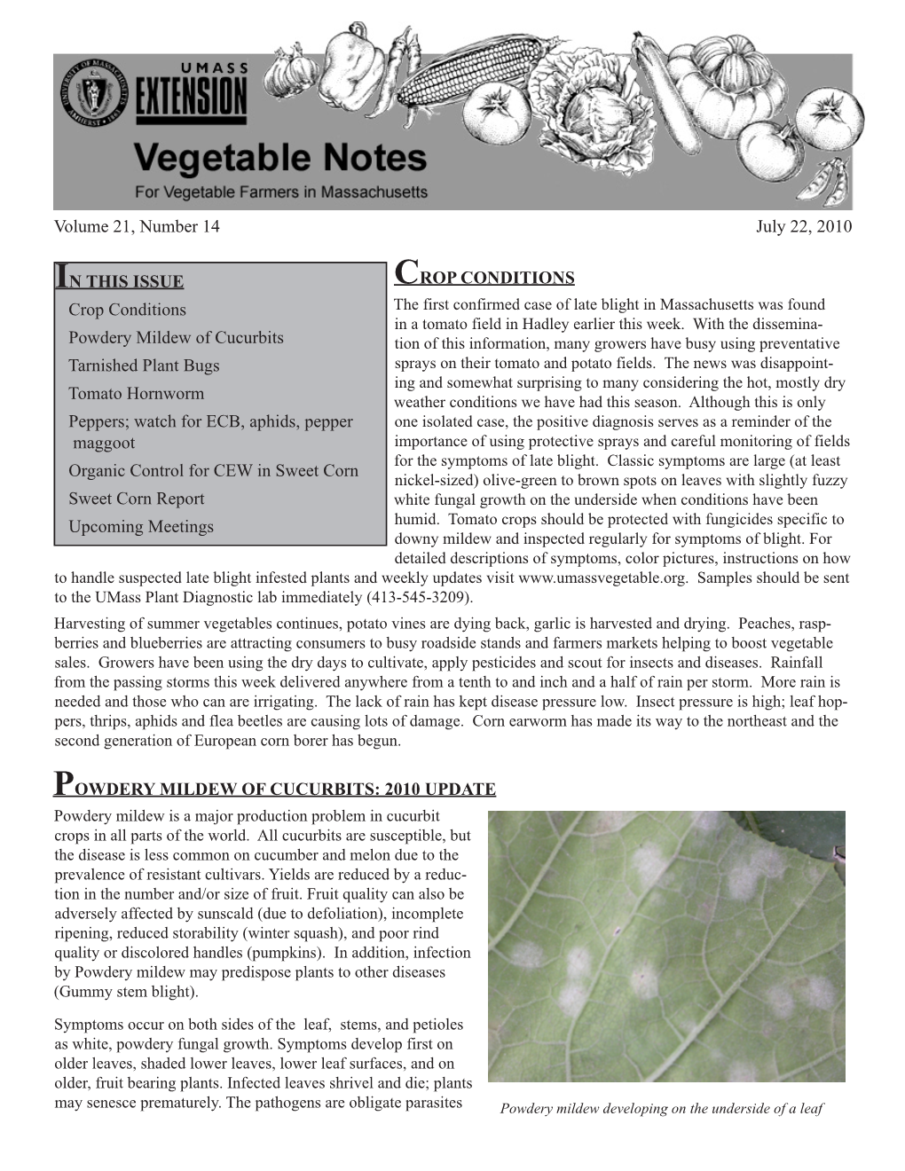 Umass Extension Vegetable Notes