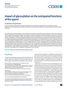 Impact of Glycosylation on the Unimpaired Functions of the Sperm