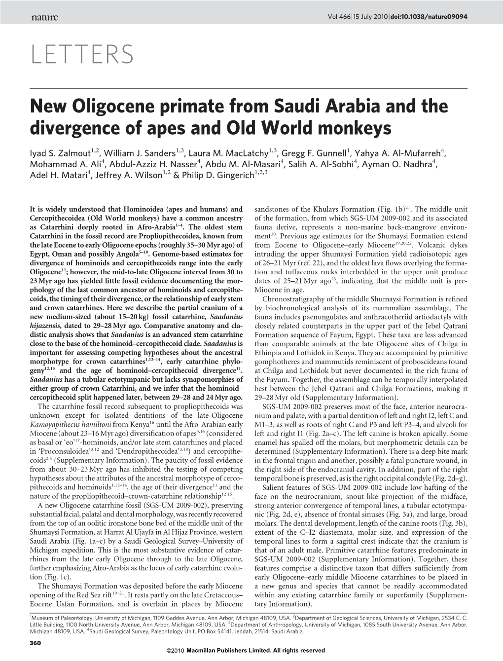 New Oligocene Primate from Saudi Arabia and the Divergence of Apes and Old World Monkeys
