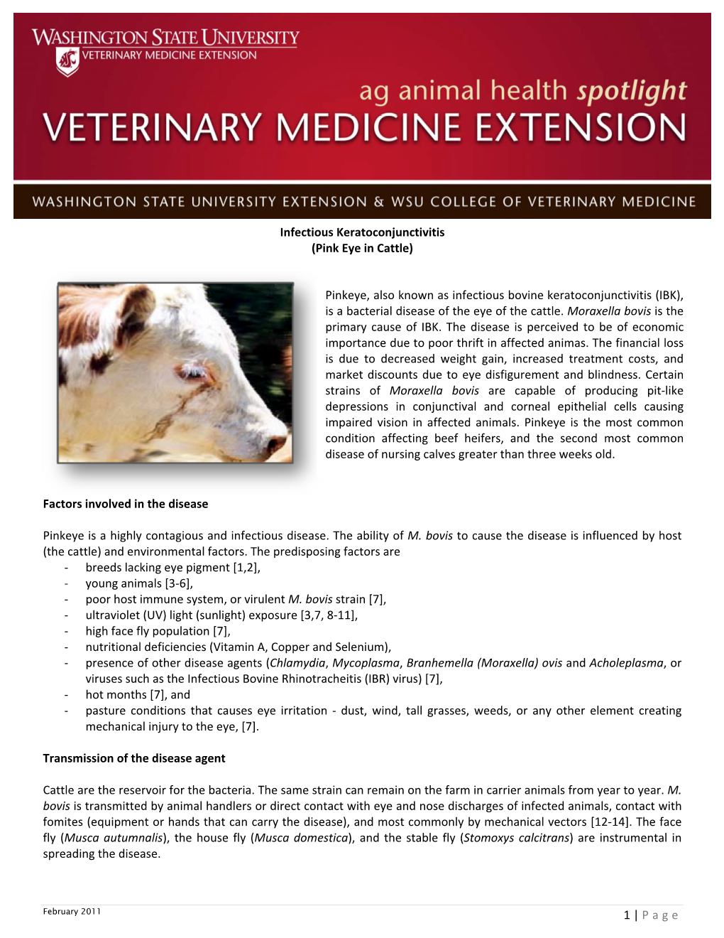 1 | Page Infectious Keratoconjunctivitis (Pink Eye in Cattle) Factors Involved in the Disease Pinkeye Is a Highly