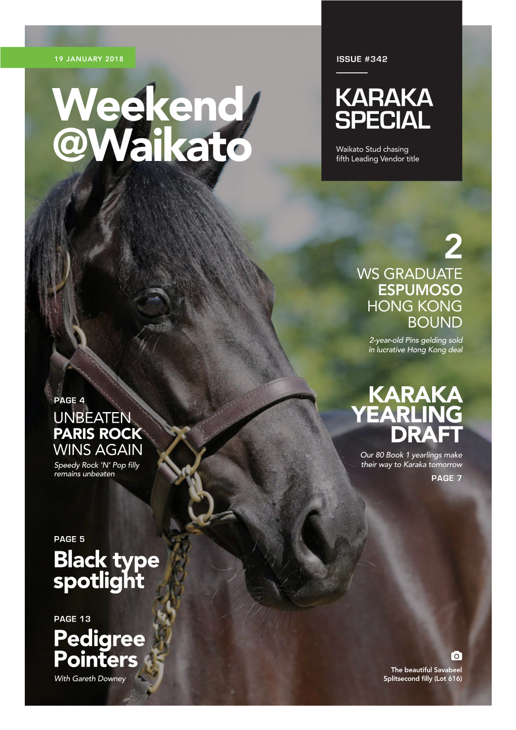 19 JANUARY 2018 ISSUE #342 KARAKA Weekend SPECIAL Waikato Stud Chasing @Waikato Fifth Leading Vendor Title