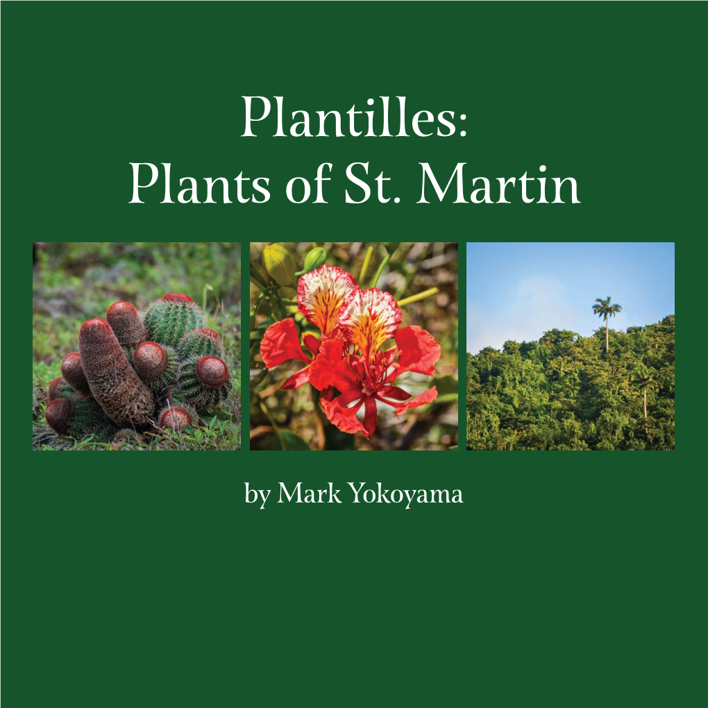 Plantilles: Plants of St. Martin