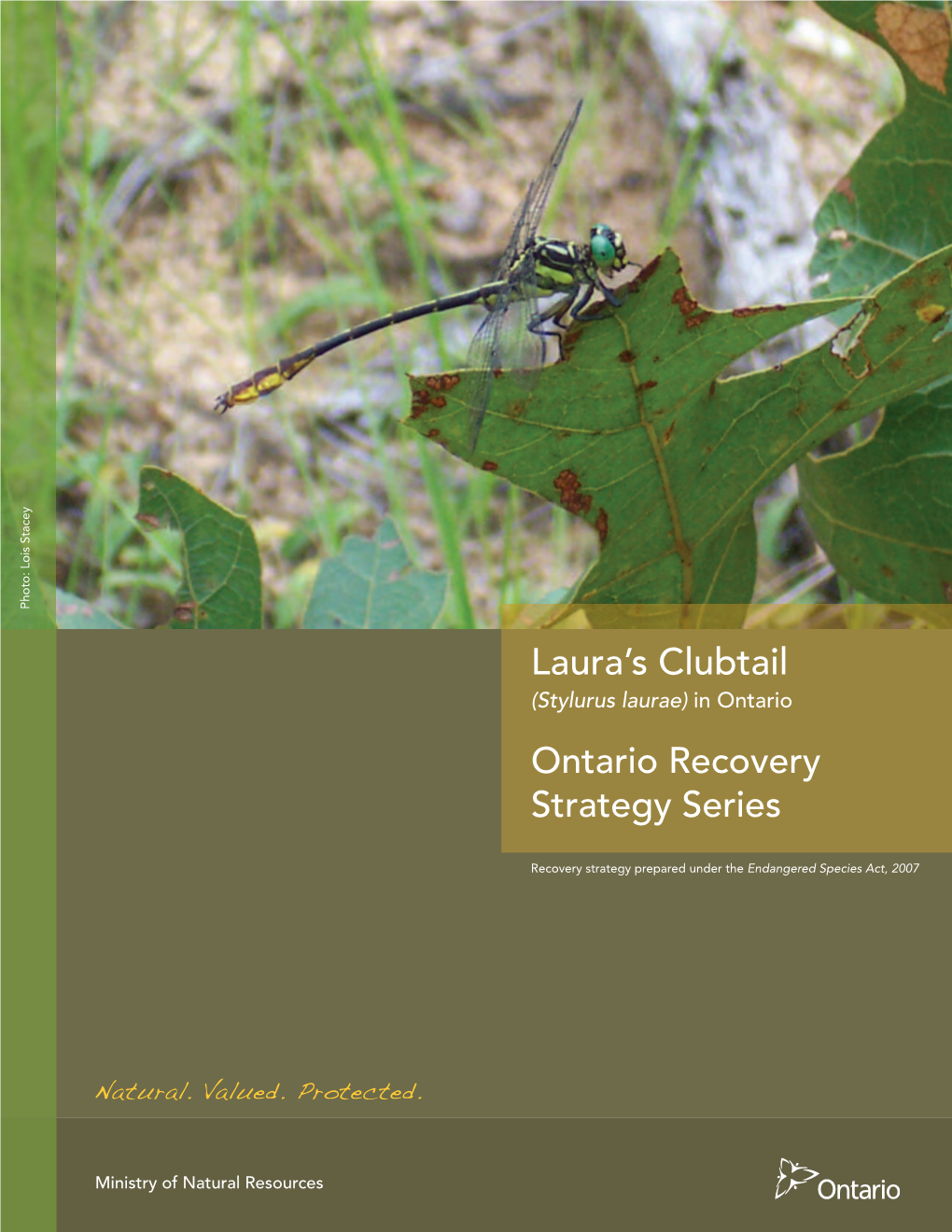 Recovery Strategy for Laura's Clubtail in Ontario