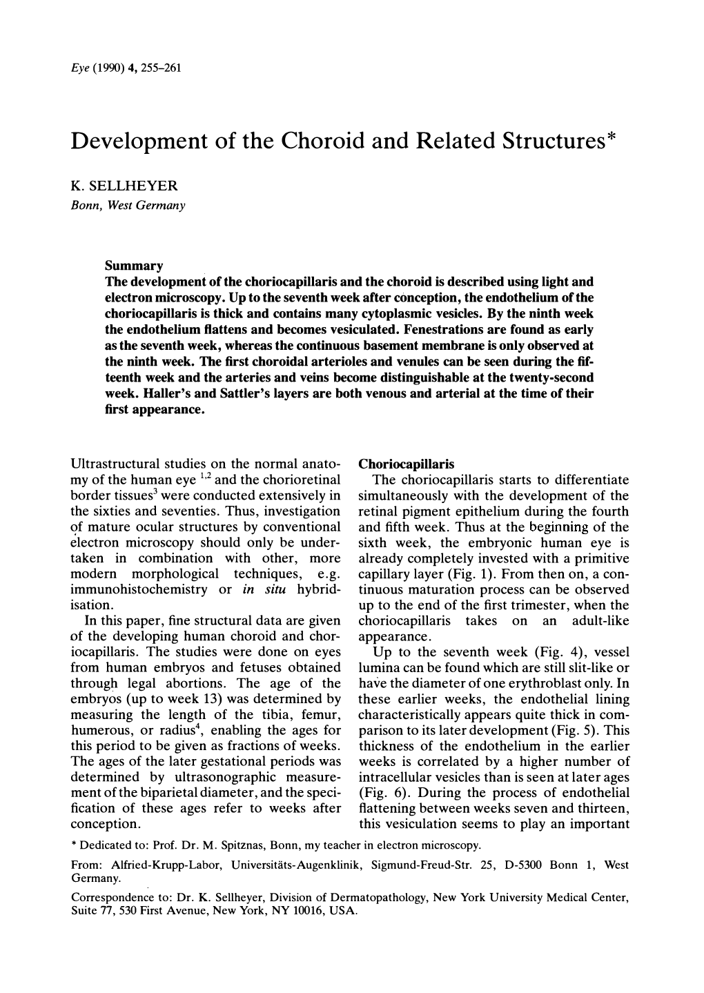 Development of the Choroid and Related Structures *