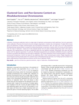 And Pan-Genome Content on Rhodobacteraceae Chromosomes