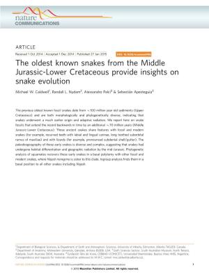 The Oldest Known Snakes from the Middle Jurassic-Lower Cretaceous Provide Insights on Snake Evolution