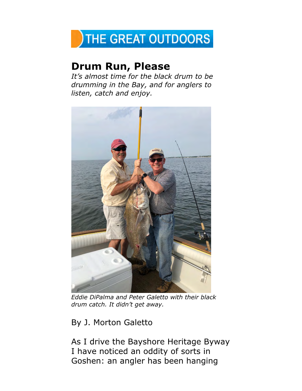 Drum Run, Please It’S Almost Time for the Black Drum to Be Drumming in the Bay, and for Anglers to Listen, Catch and Enjoy