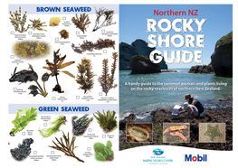 Rocky Shore Guide