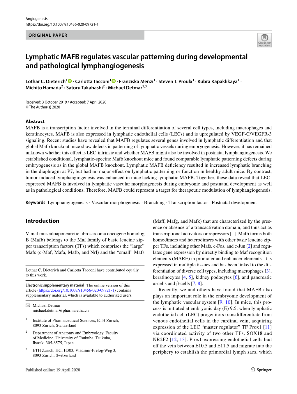 Lymphatic MAFB Regulates Vascular Patterning During Developmental and Pathological Lymphangiogenesis