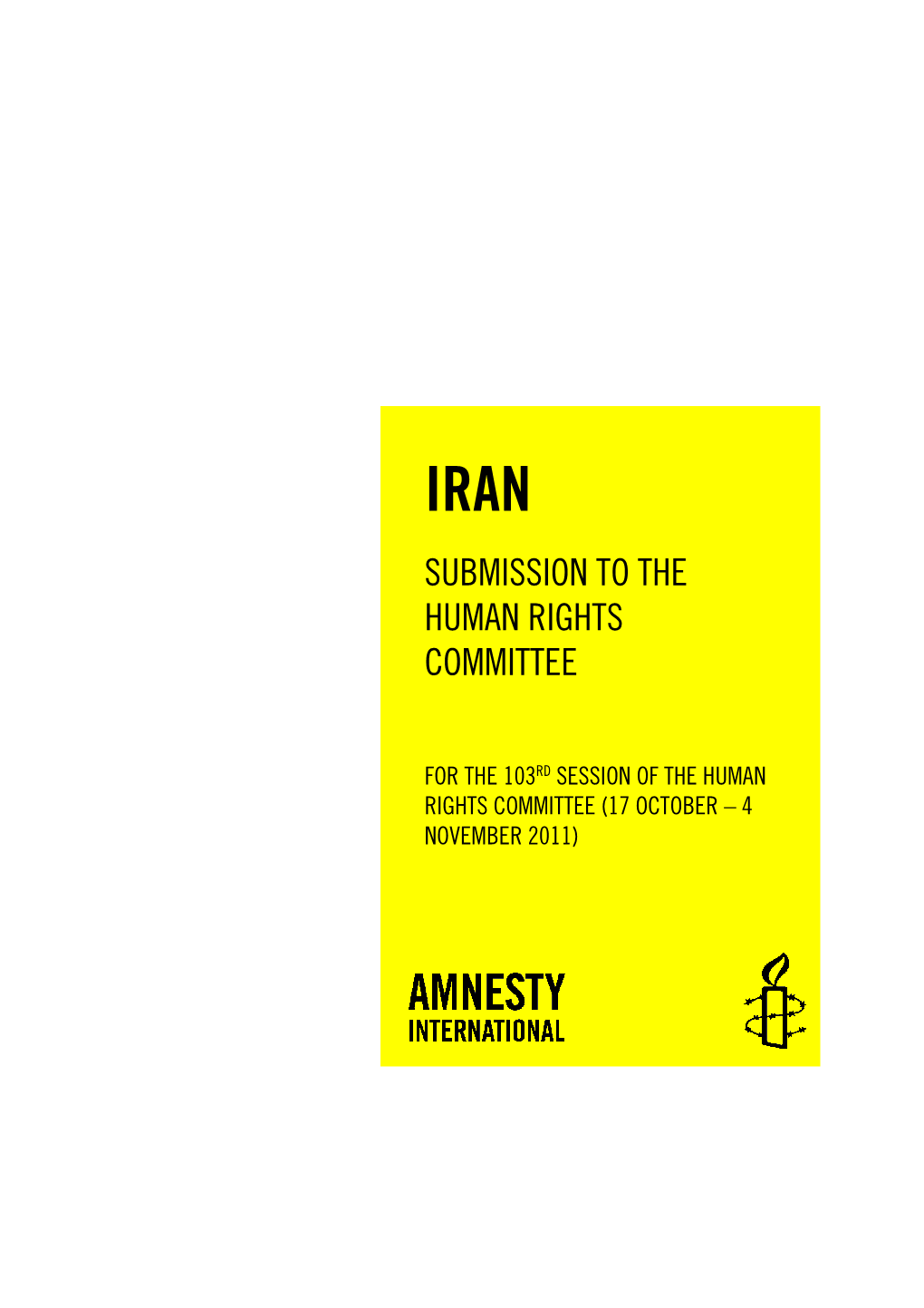 Amnesty International Publications