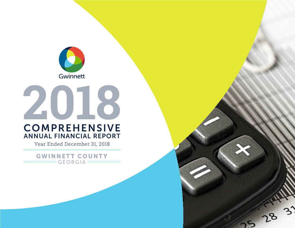 Comprehensive Annual Financial Report – Year Ended 2018 (PDF)