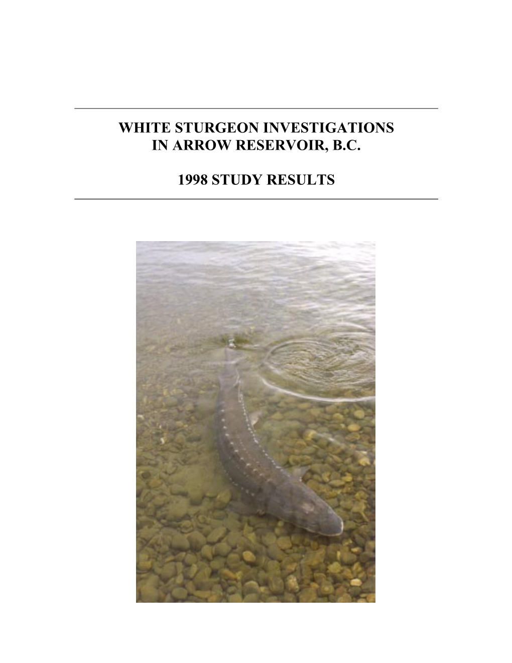 White Sturgeon Investigations in Arrow Reservoir, B.C