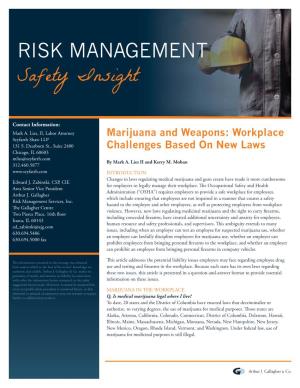 RISK MANAGEMENT Safety Insight