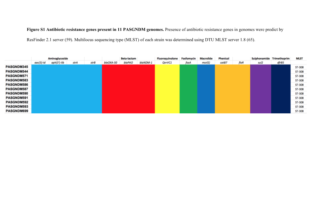 Figure S1 Antibiotic Resistance Genes Present in 11 PASGNDM Genomes