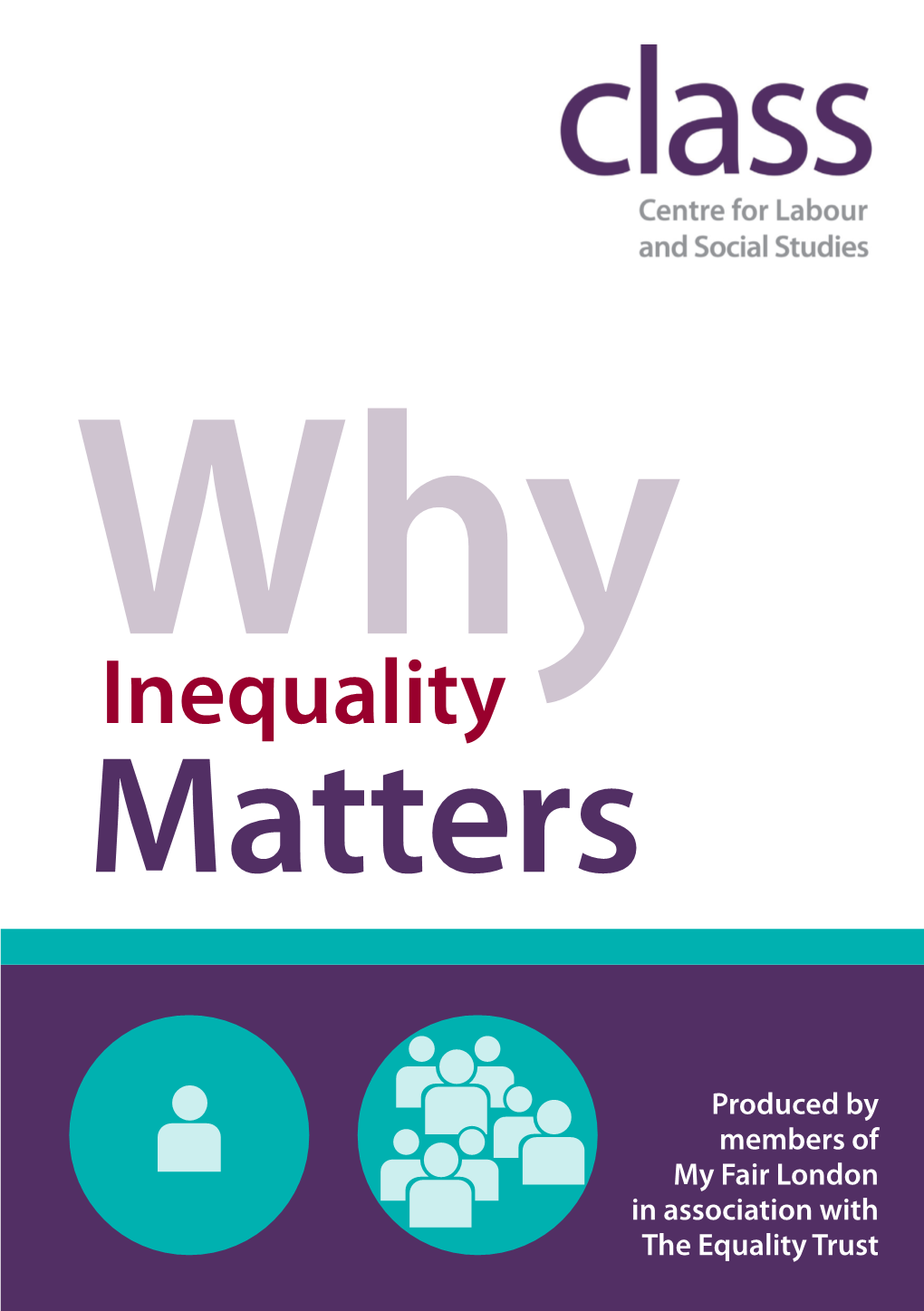 Why Inequality Matters