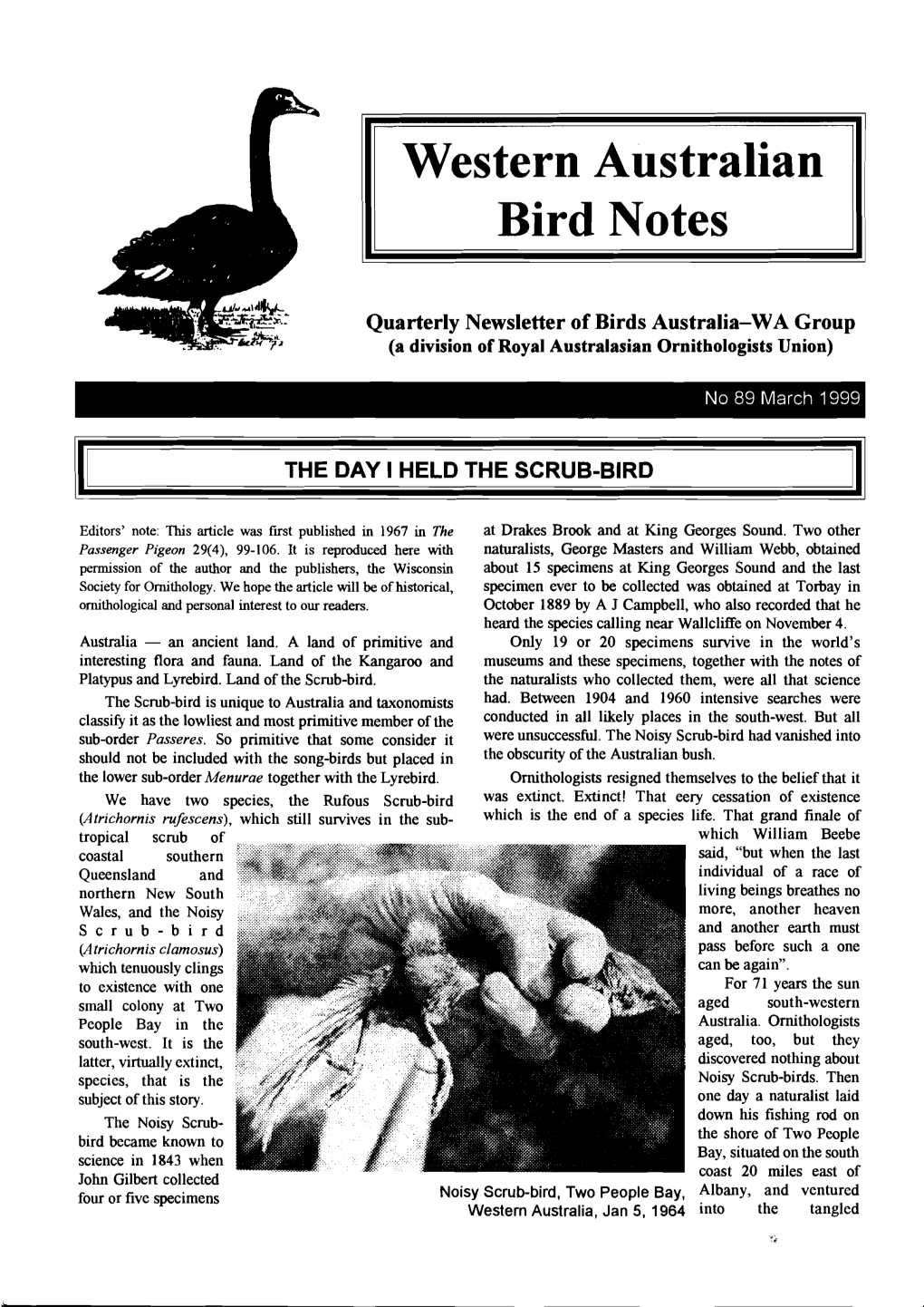 Western Australian Bird Notes