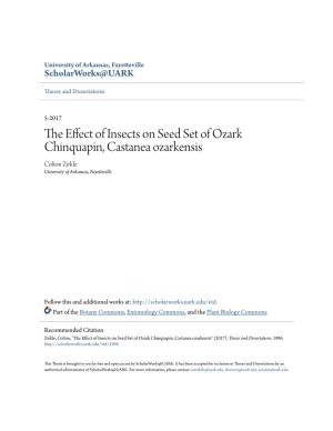 The Effect of Insects on Seed Set of Ozark Chinquapin, Castanea Ozarkensis" (2017)