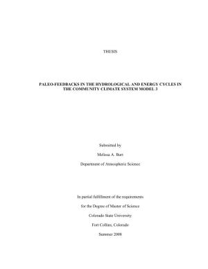 Thesis Paleo-Feedbacks in the Hydrological And
