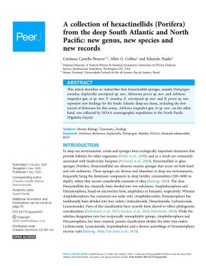 Porifera) from the Deep South Atlantic and North Paciﬁc: New Genus, New Species and New Records