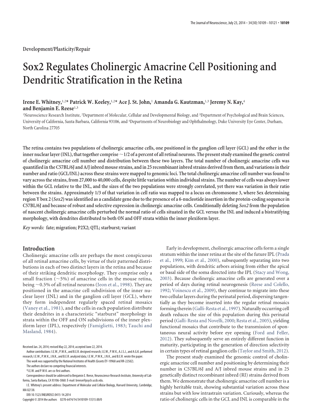 Sox2 Regulates Cholinergic Amacrine Cell Positioning and Dendritic Stratification in the Retina